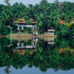 Why Kerala Tour Packages Are Ideal for a Complete South India Tour