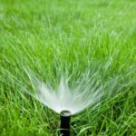 Best Time to Water Your Lawn in Lethbridge Based on Climate and Seasonal Conditions